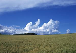 静岡県焼津市の安心・信頼の葬儀場｜富士葬祭 焼津の特徴とサービス内容