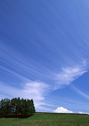 静岡市清水区の家族葬に特化した斎場｜家族葬のタクセル東大曲の特徴とサービス