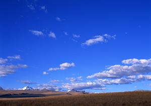静岡県藤枝市の安心・信頼の葬儀を提供する富士葬祭 藤枝城南の全て