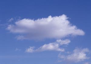 鹿児島で選ぶ最適な家族葬プランのポイント【葬儀情報】