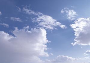 天候に左右されない新しい形の墓地