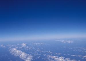 大切なペットとの最後を彩る！信頼できるペット葬式サービスの選び方ガイド